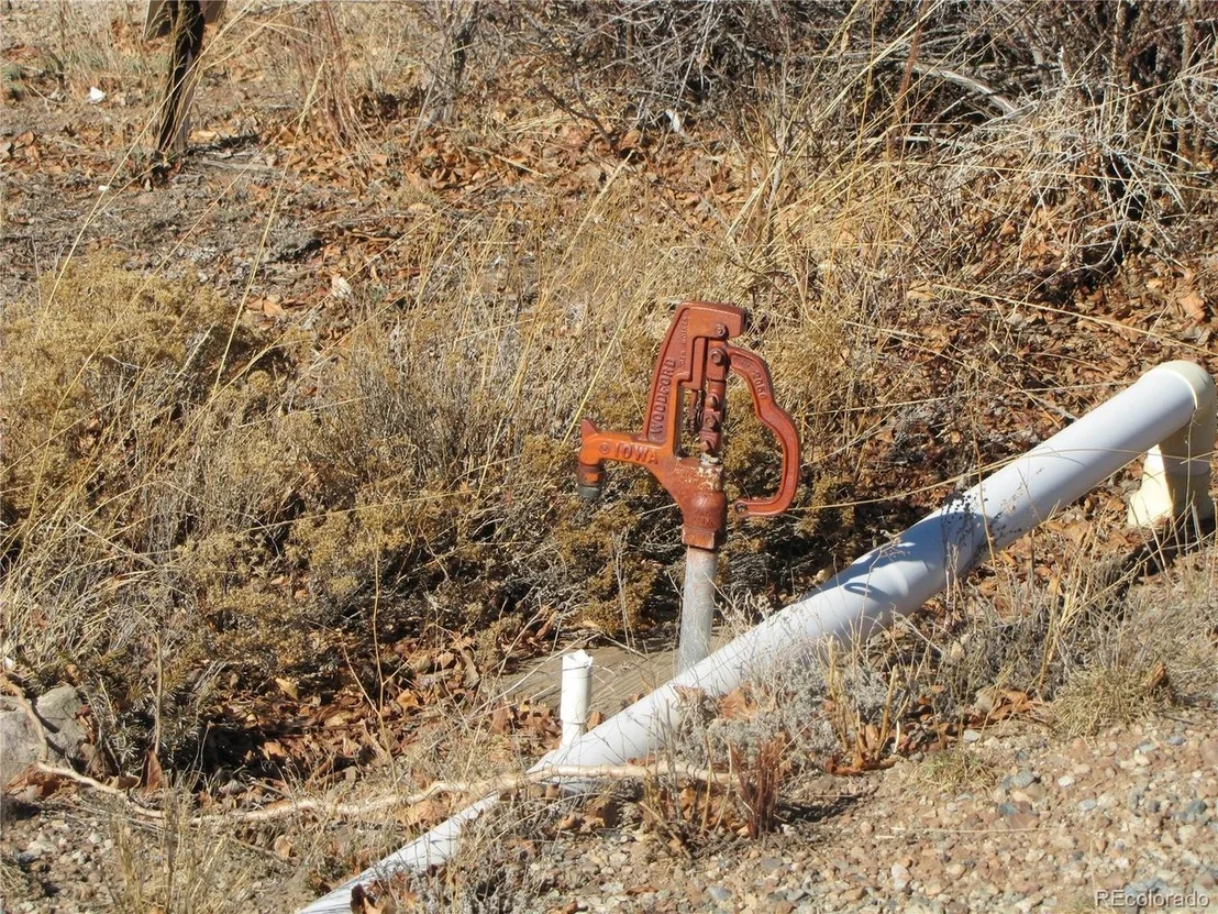 Photo of 125 Tressel Trl