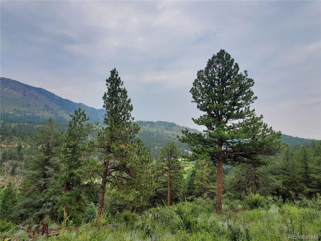 Photo of 1919 Old Stagecoach Rd