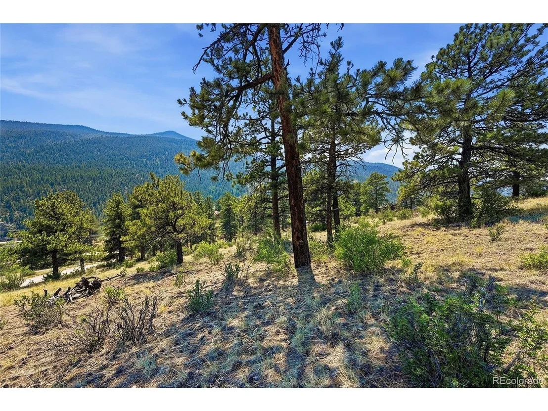 Photo of 61 Cline Dr