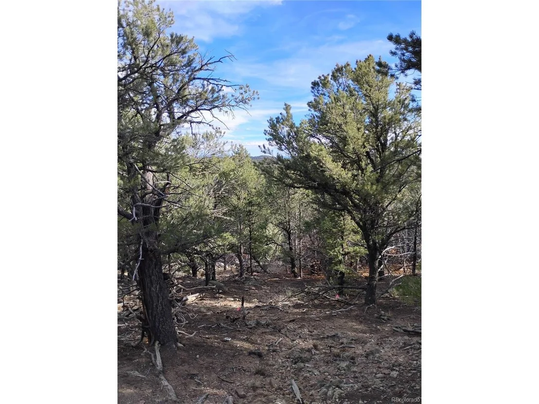 Photo of 1105 Owens Ln