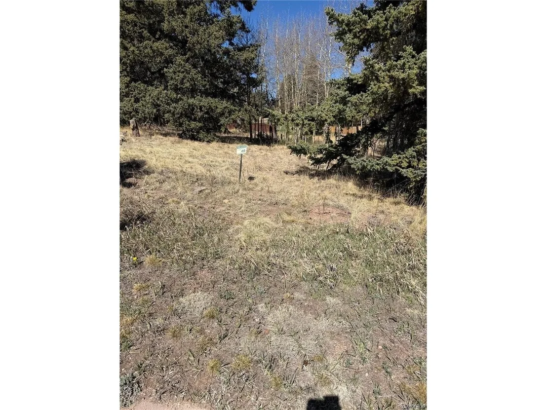 Photo of 405 Meadow Park Dr