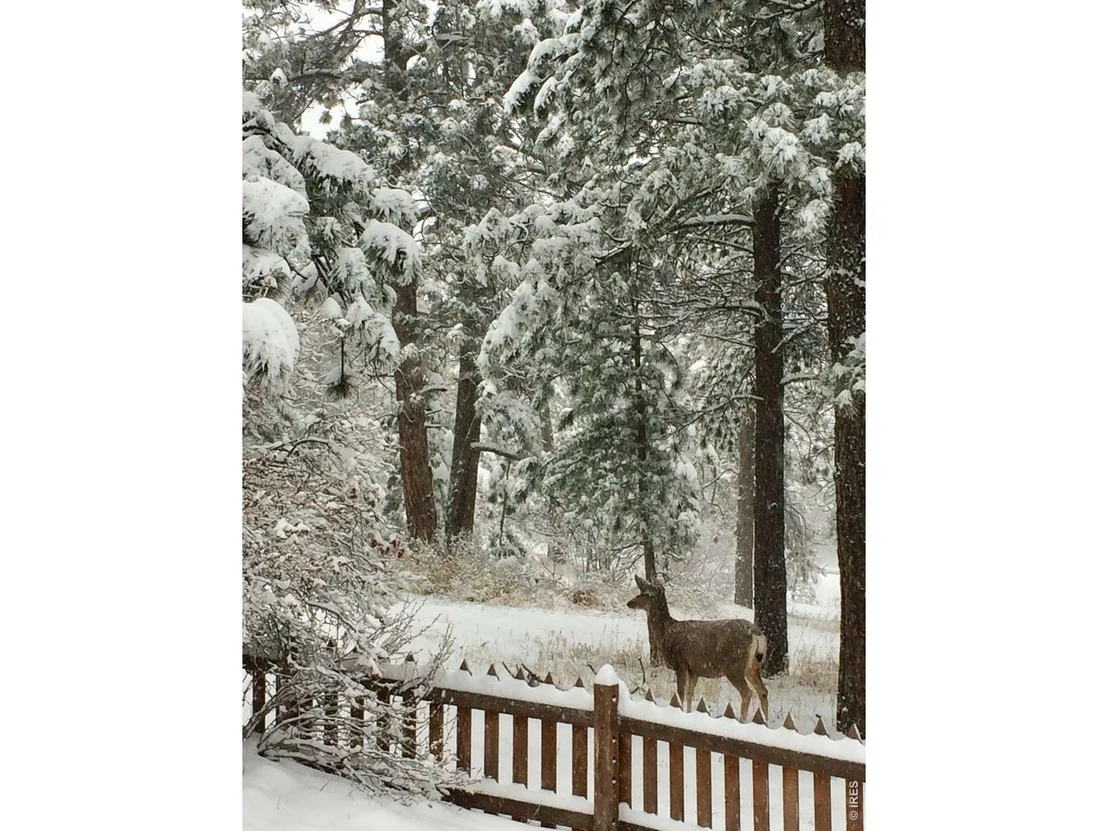 Photo of 32048 Highway 72