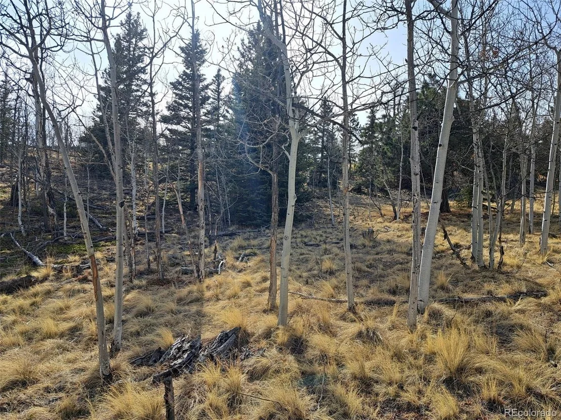 Photo of 93 Wyandot Way