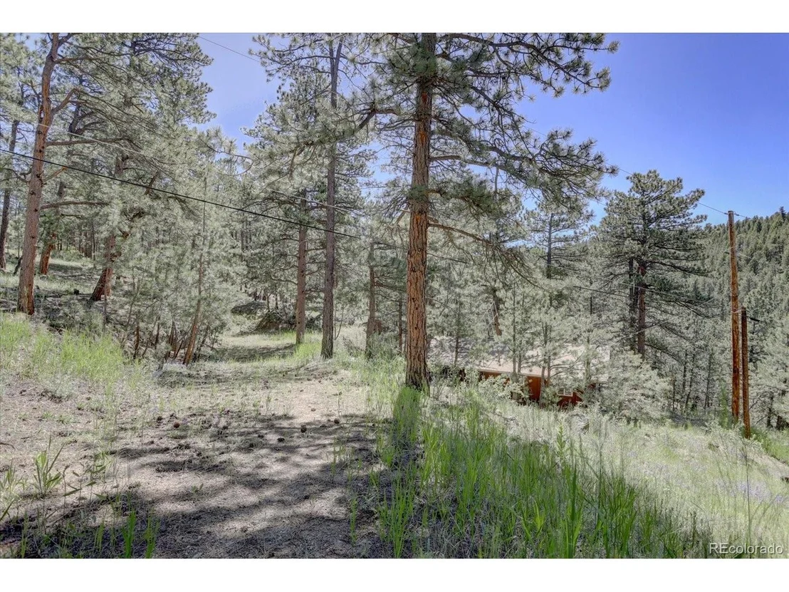 Photo of 29577 Larkspur