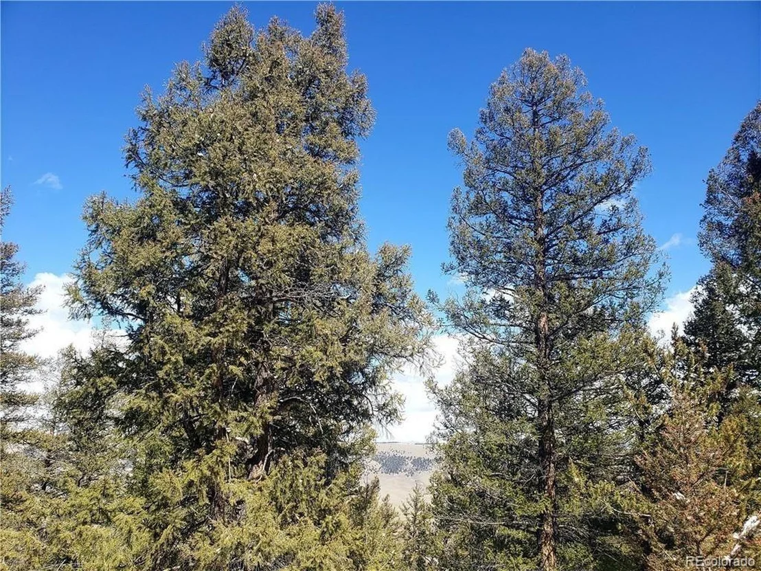 Photo of Middle Fork Vis