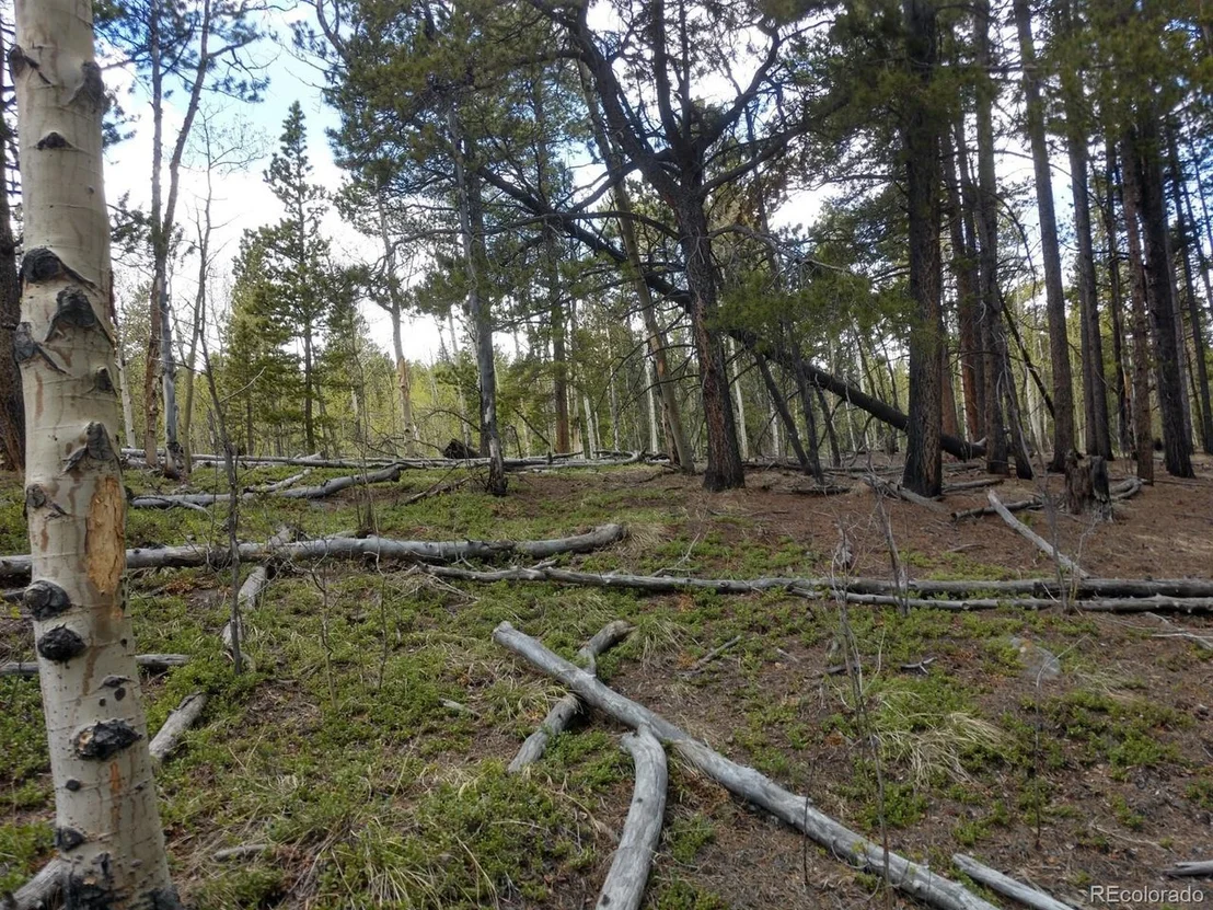 Photo of 317 Ski Doo Rd