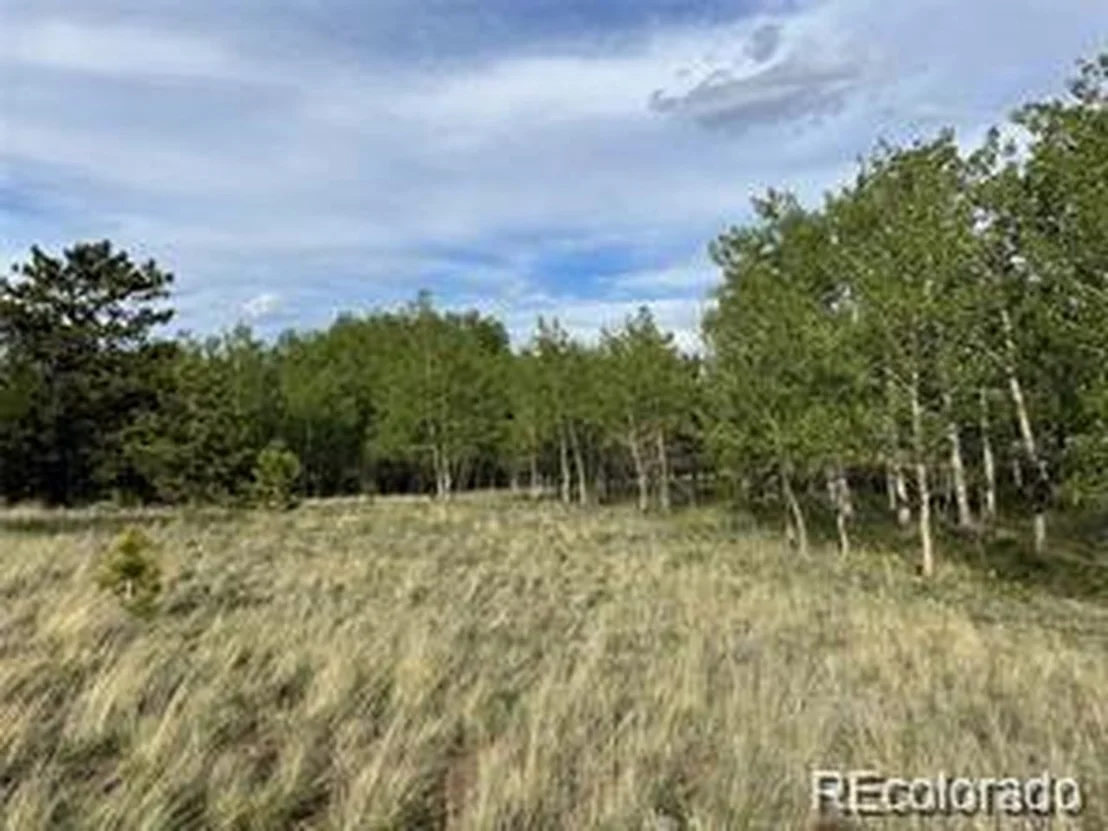 Photo of 1599 Campfire Rd