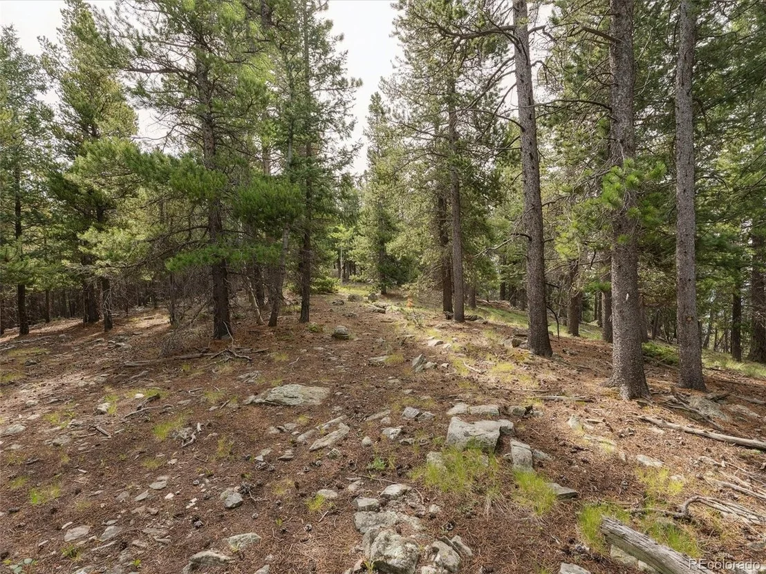 Photo of 0 Snyder Mountain Rd