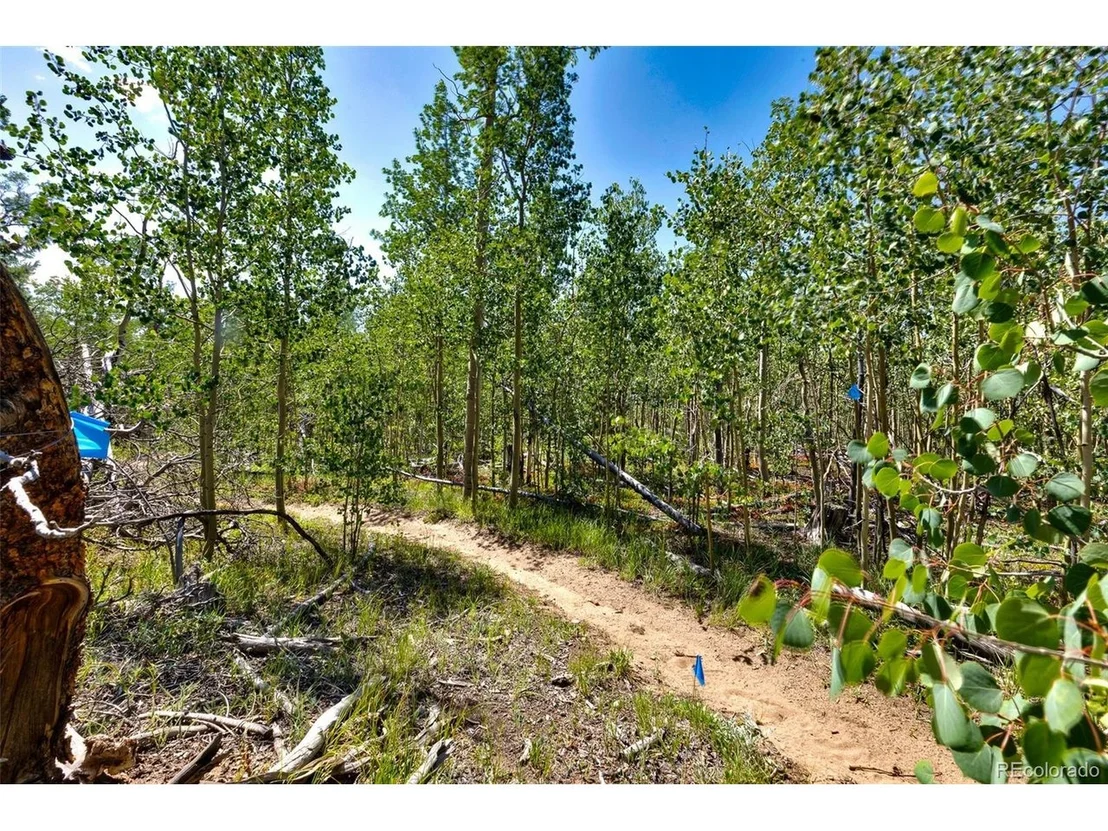 Photo of 497 TEN HIGH Ln
