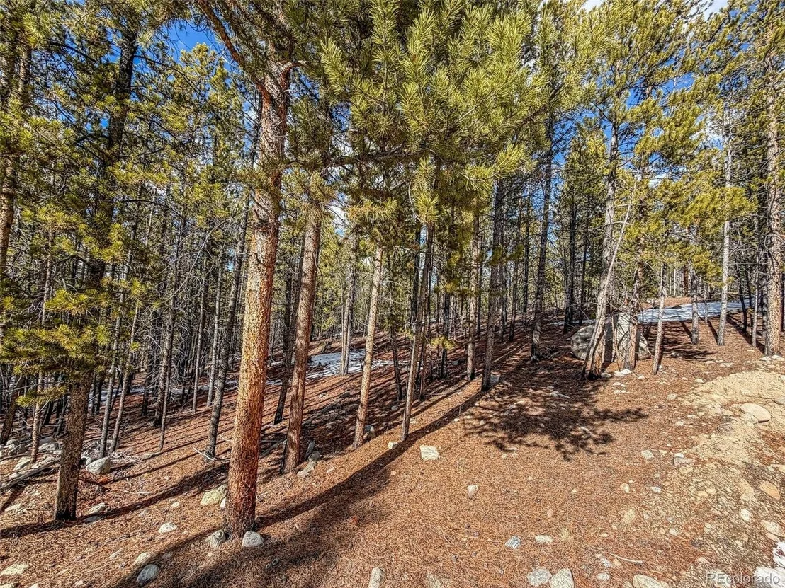 Photo of 483 Mt Massive Rd