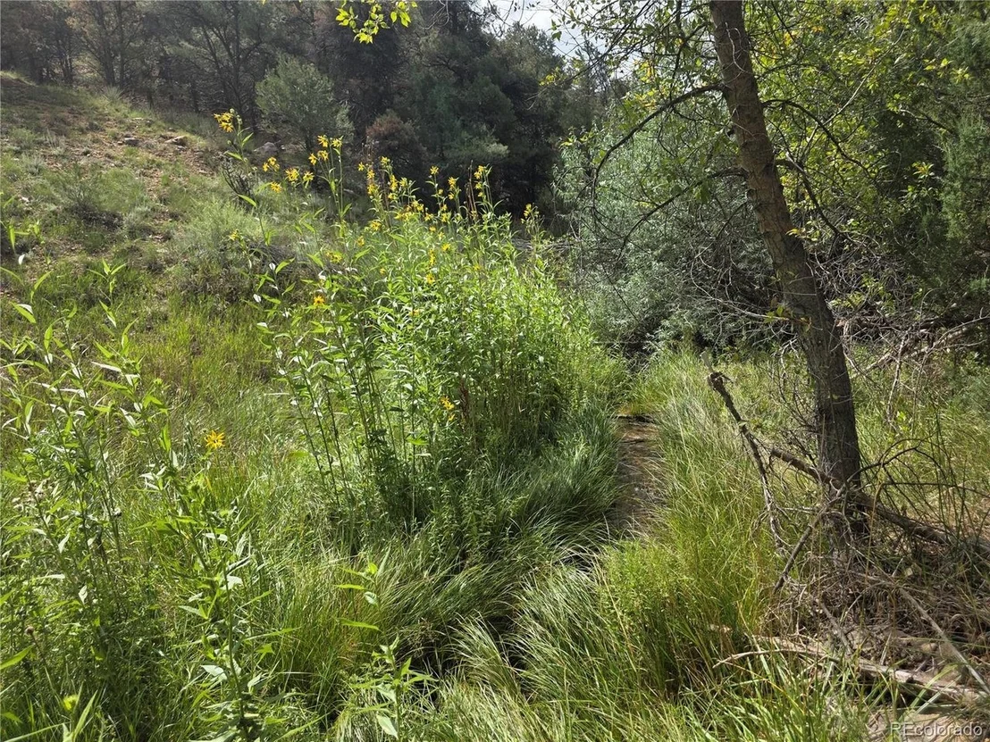 Photo of 291 County Road 51