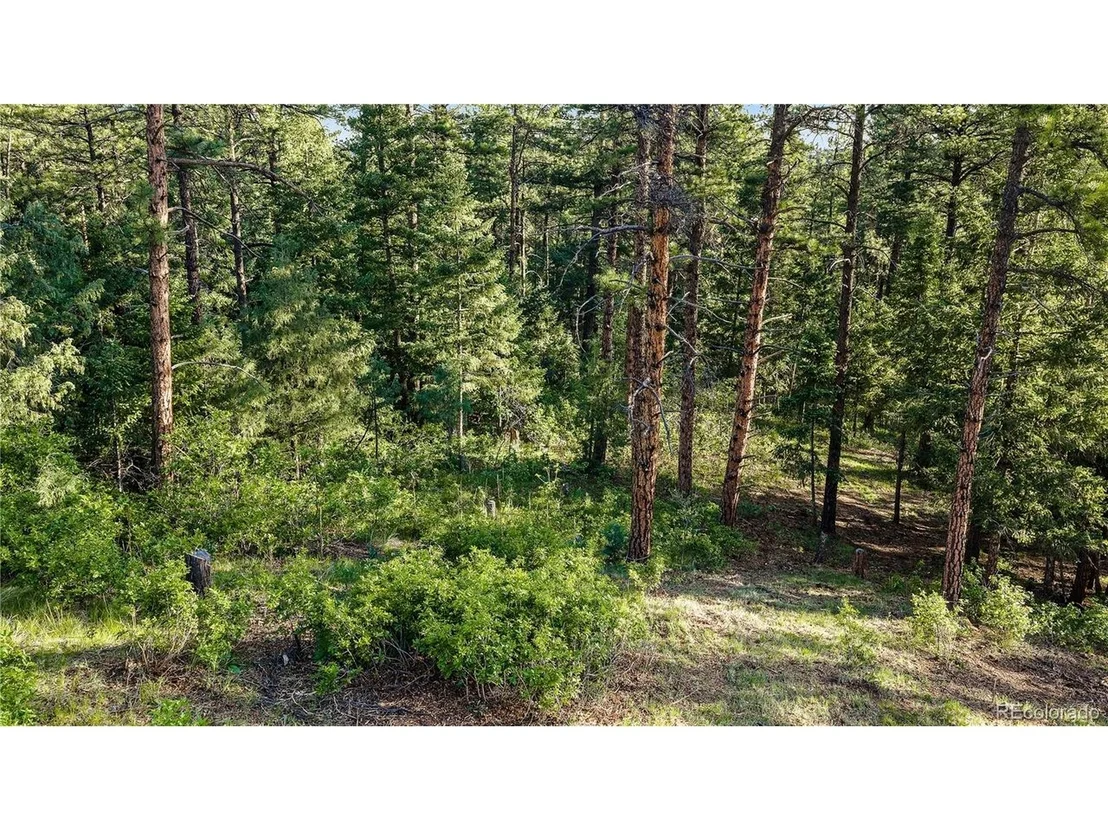 Photo of 8125 Bannock Dr