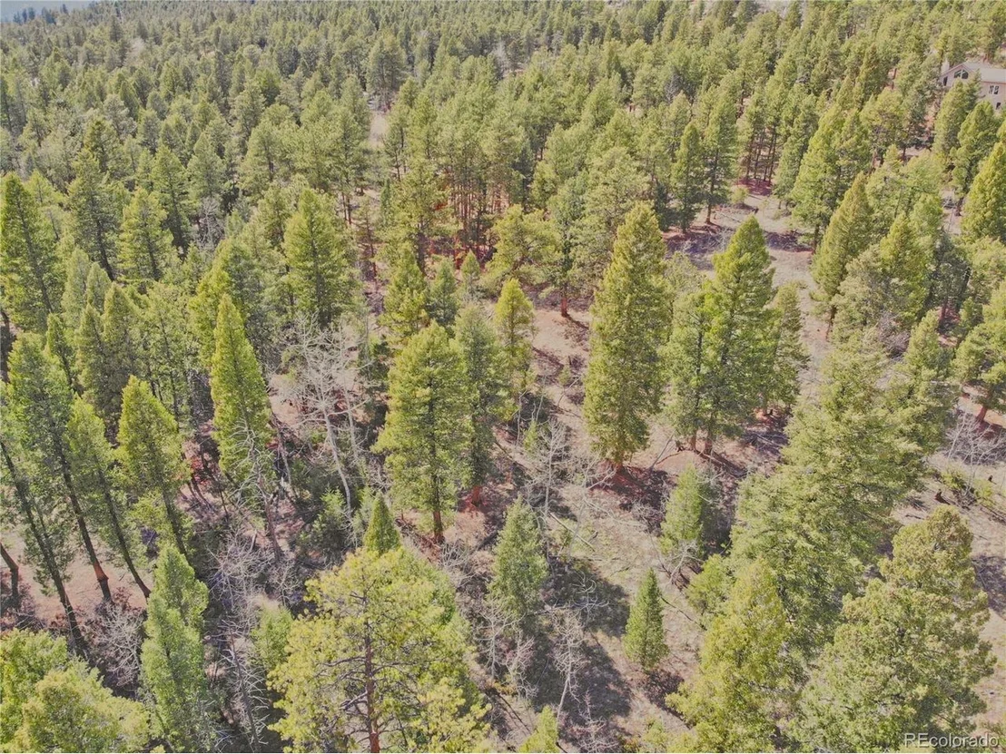 Photo of 449 Forest Dr