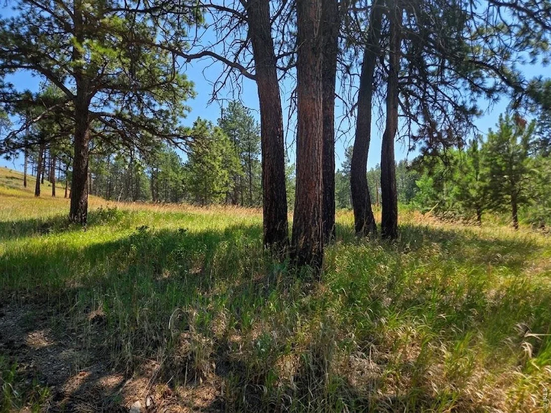 Photo of 620 Davis Ranch Rd