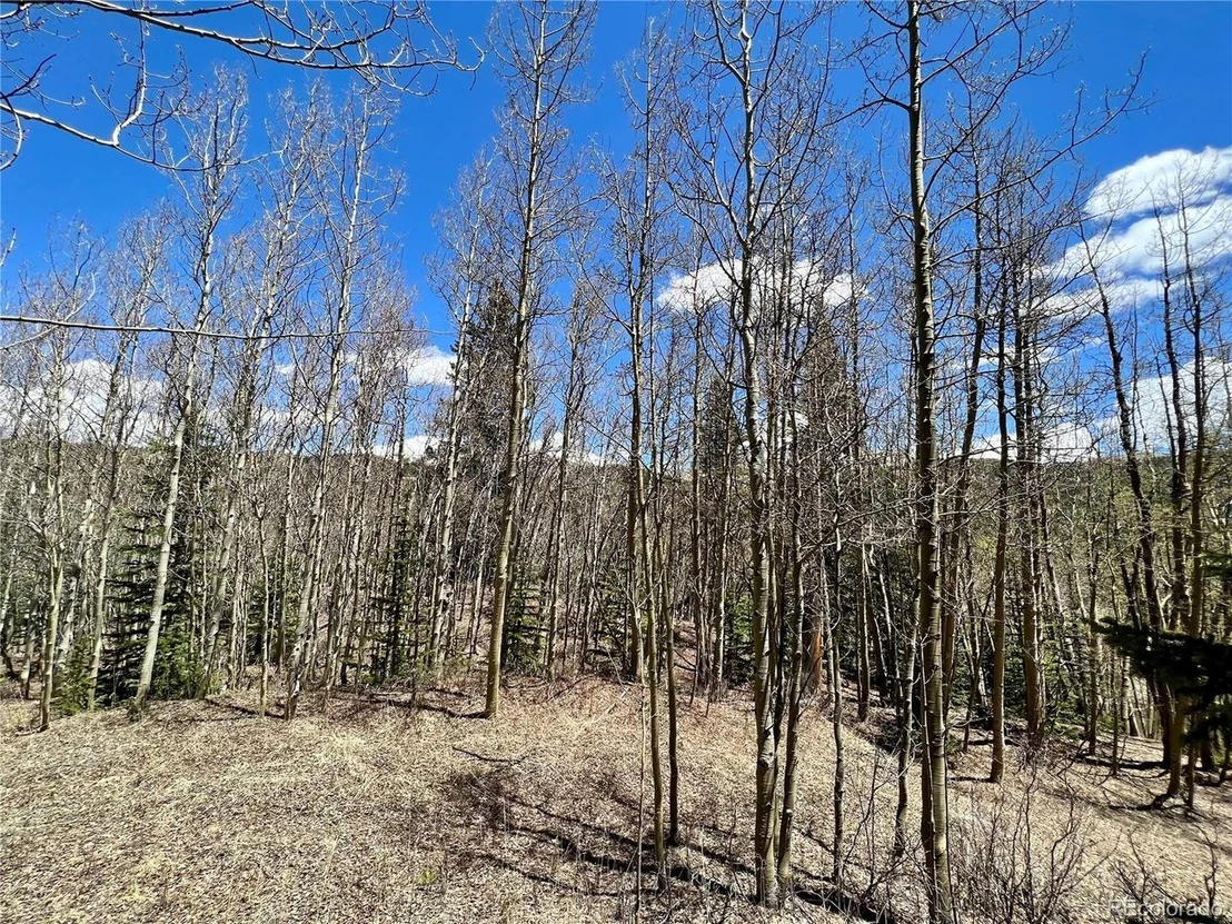 Photo of 529 Roberts Rd