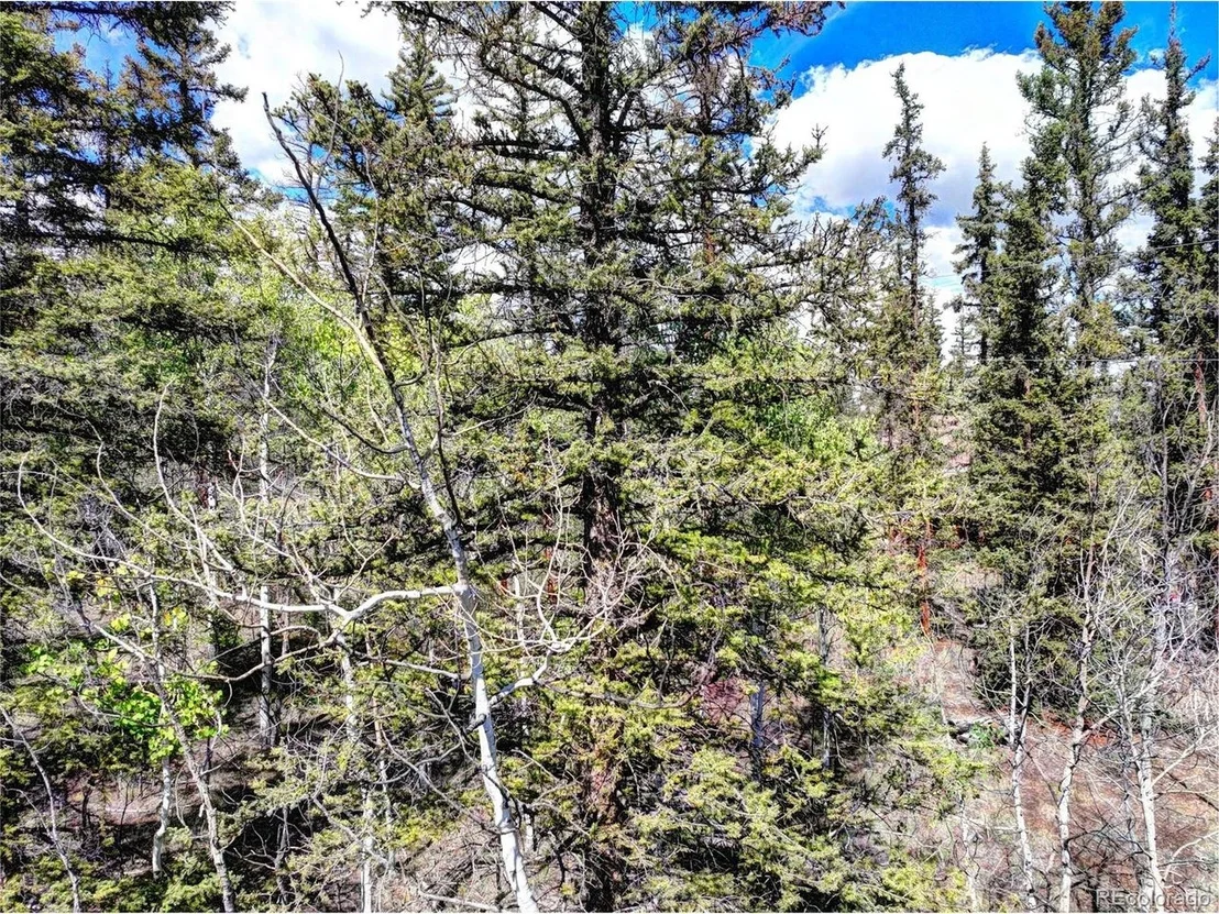 Photo of 75 Swiggler Rd