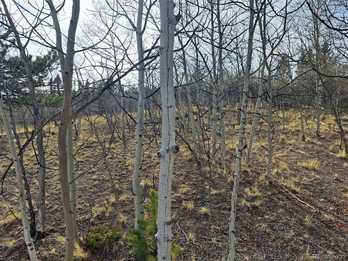 Photo of 93 Wyandot Way