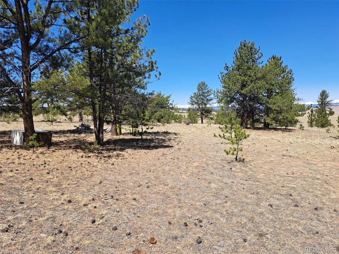 Photo of 235 Maricopa Trl