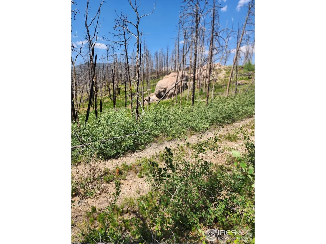 Photo of 963 Crystal Mountain Rd