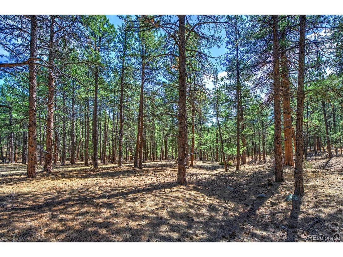 Photo of 27444 Pine Valley Dr