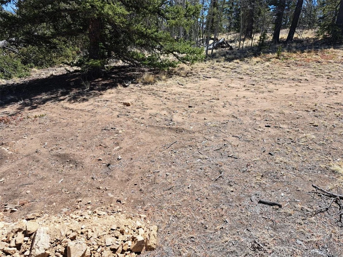 Photo of 730 Tepee Trl