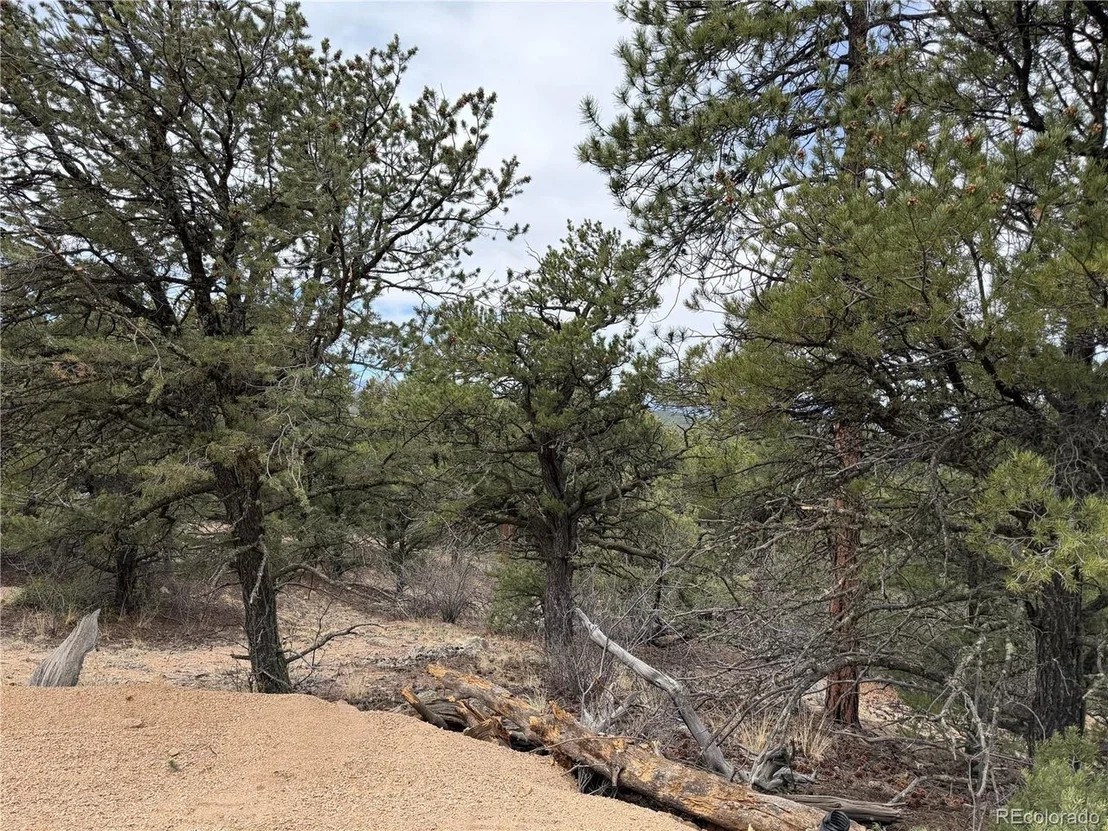 Photo of 672 Coyote Run Trl