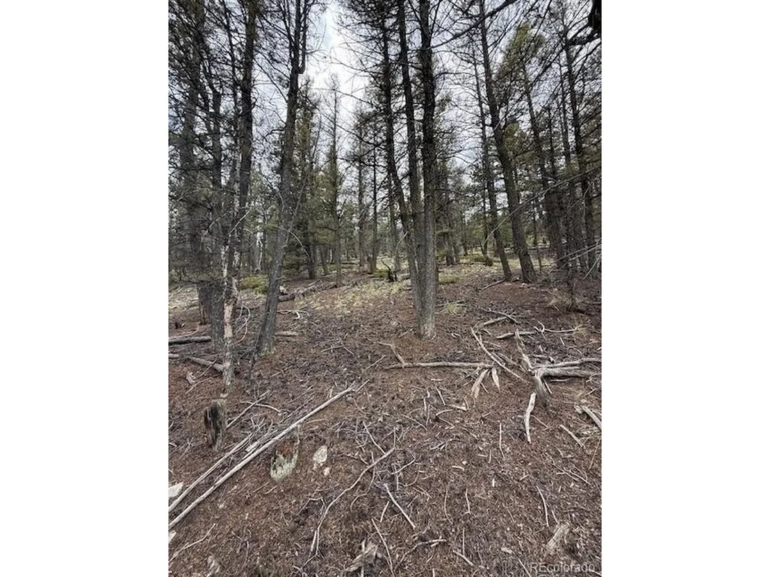 Photo of 2689 Redhill Rd