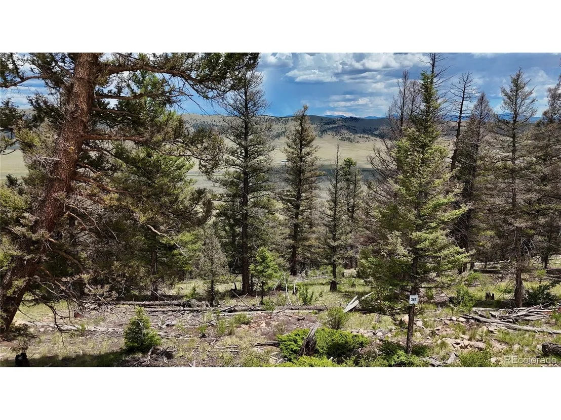 Photo of 1396 Middle Fork Vis
