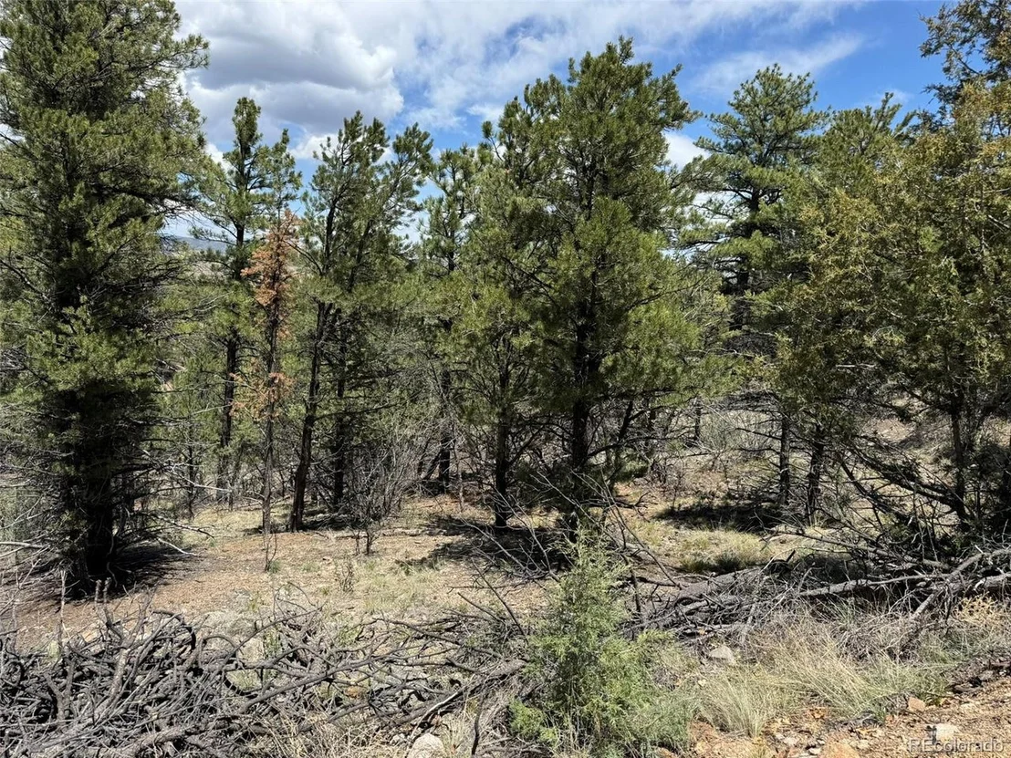 Photo of TBD 33rd
