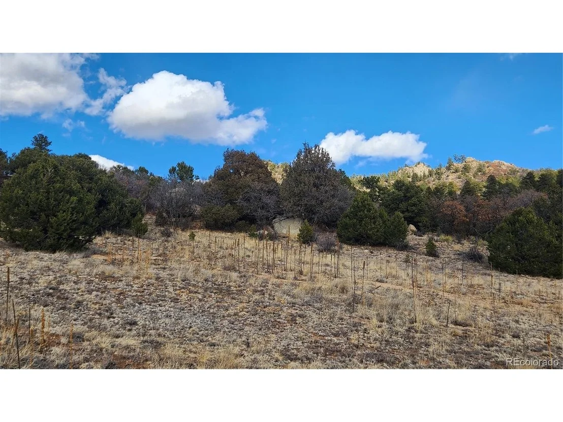 Photo of 47 White Cloud Dr