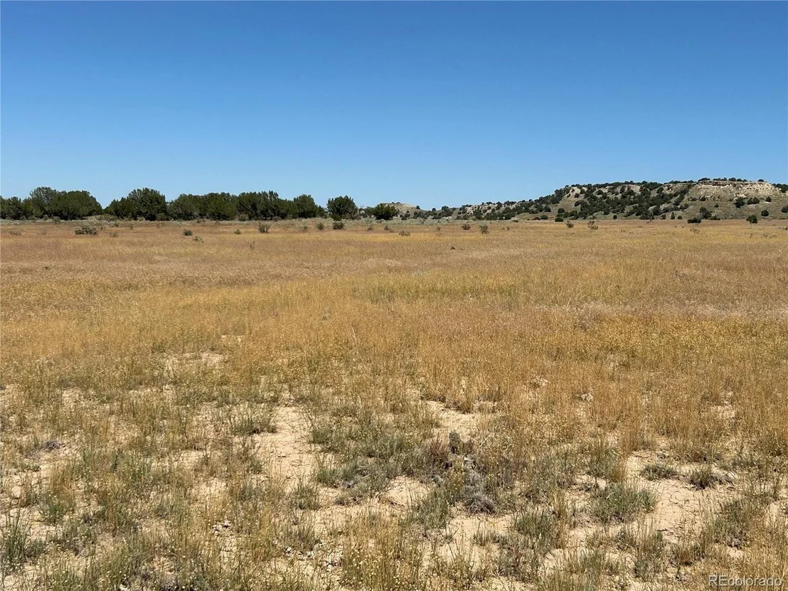 Photo of 4 Outback Ranch