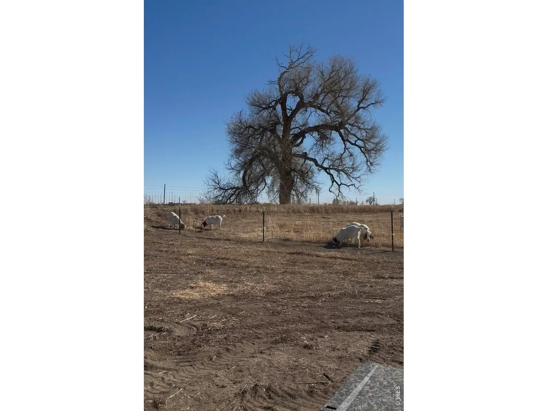 Photo of 1932 N County Road 23
