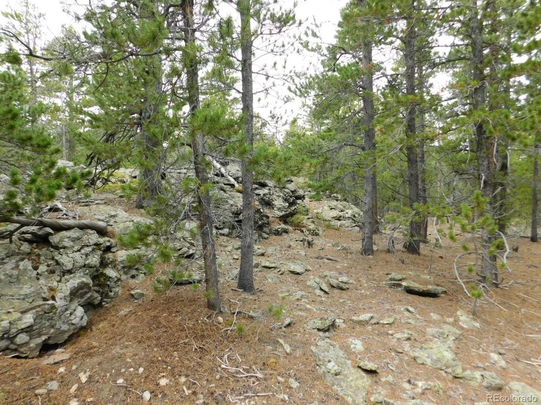 Photo of 2 Roosevelt Ridge Rd