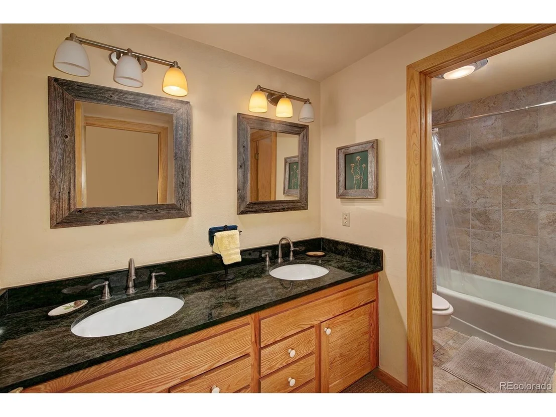 Photo of 44 Bear Tree Ct