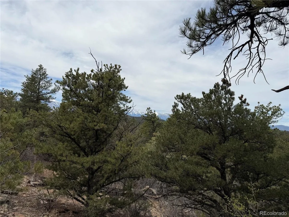 Photo of 672 Coyote Run Trl