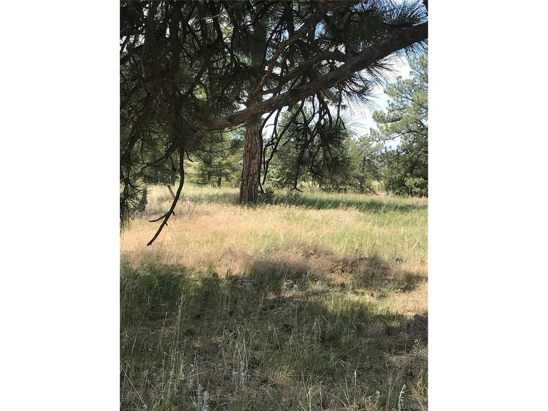 Photo of 10560 Shadow Pines Rd