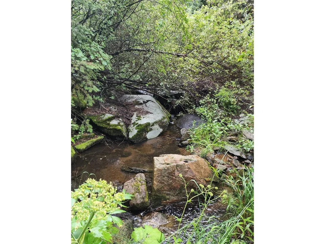 Photo of 31429 Burke Rd