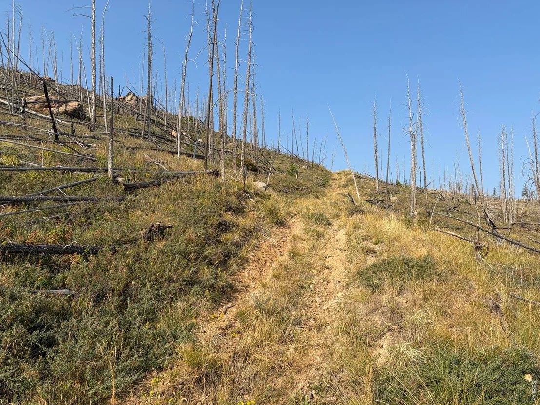 Photo of 0 Pine Acres Rd