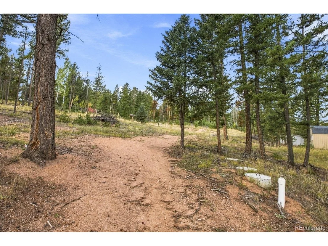 Photo of 27687 Pine Grove Trl