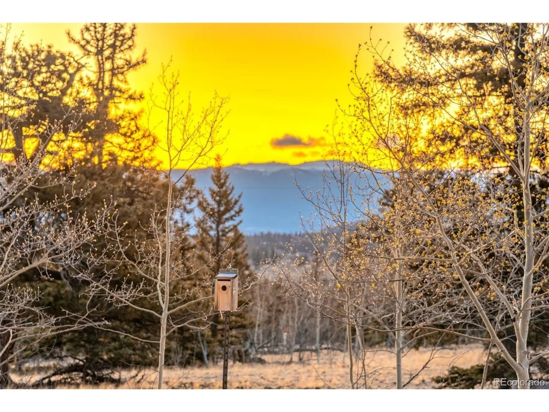 Photo of 48 Teton Trl