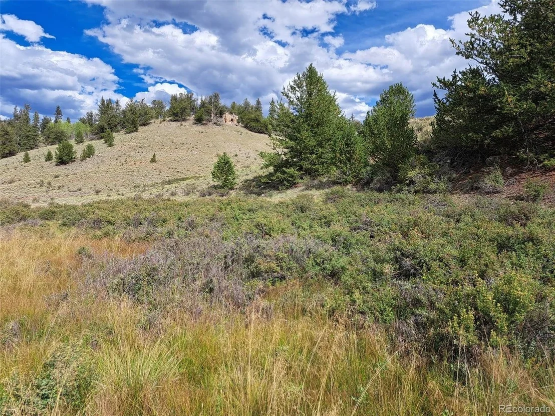 Photo of 736 Stagestop Rd