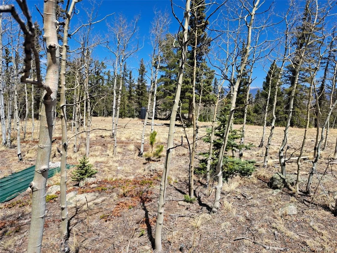 Photo of 782 Tepee Trl