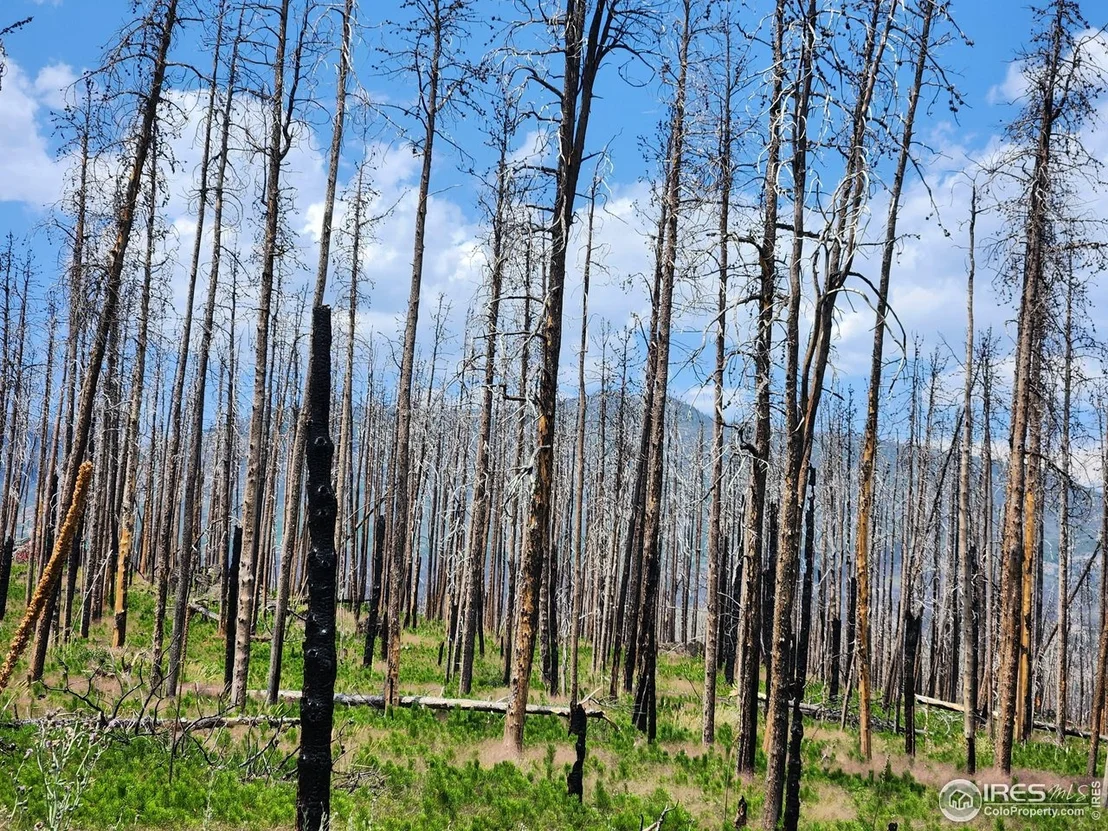 Photo of 963 Crystal Mountain Rd