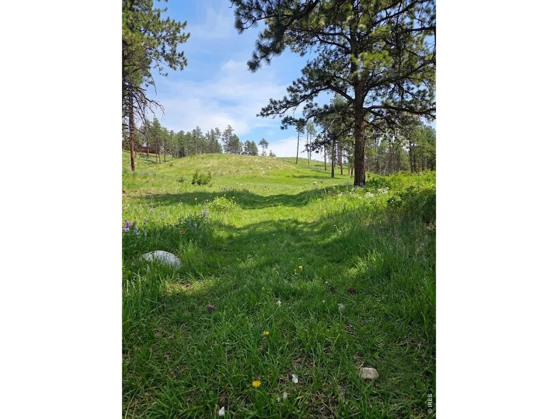 Photo of 620 Davis Ranch Rd