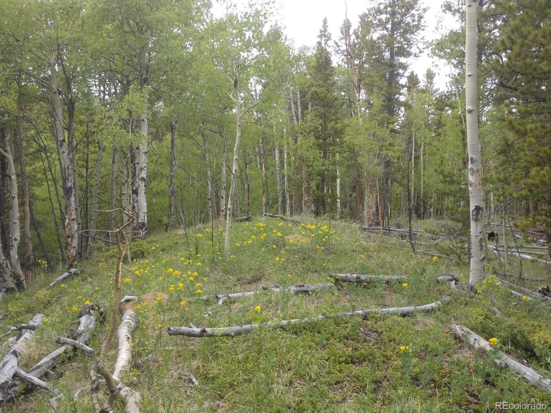 Photo of 317 Ski Doo Rd