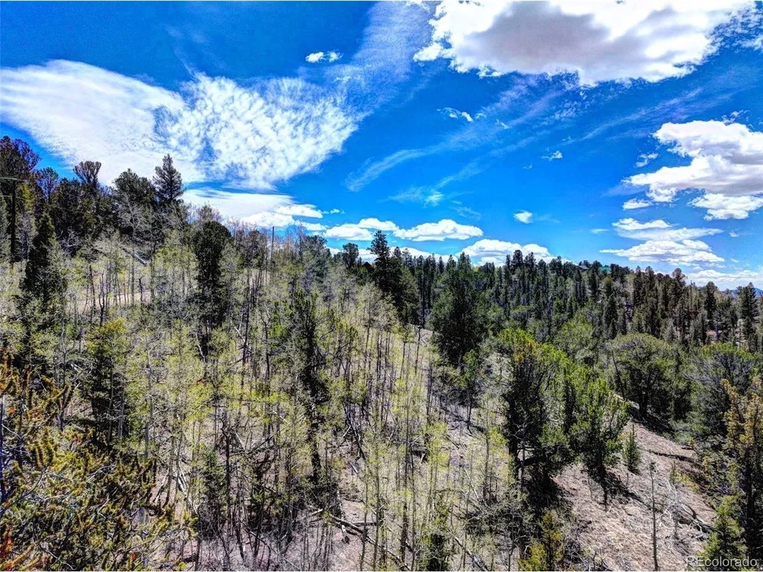 Photo of 194 Bufflehead Cir