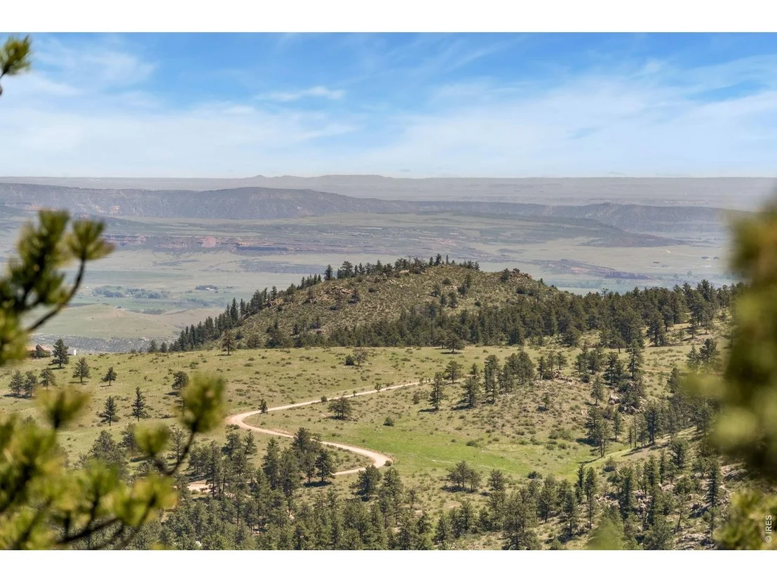 Photo of 298 Mount Massive Dr