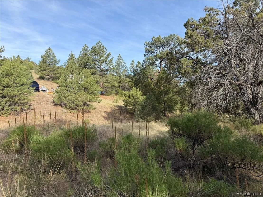 Photo of 594 Maurice Dr
