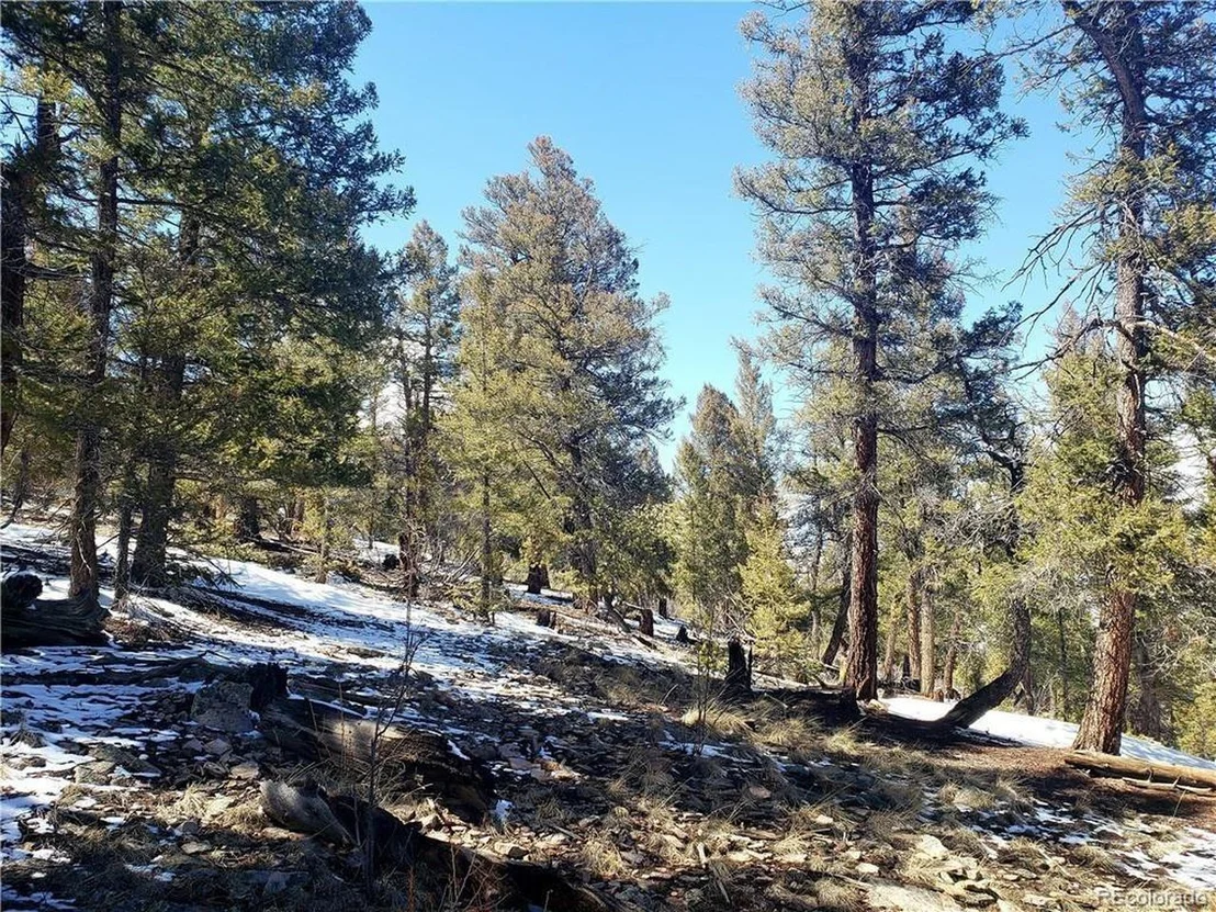 Photo of Middle Fork Vis