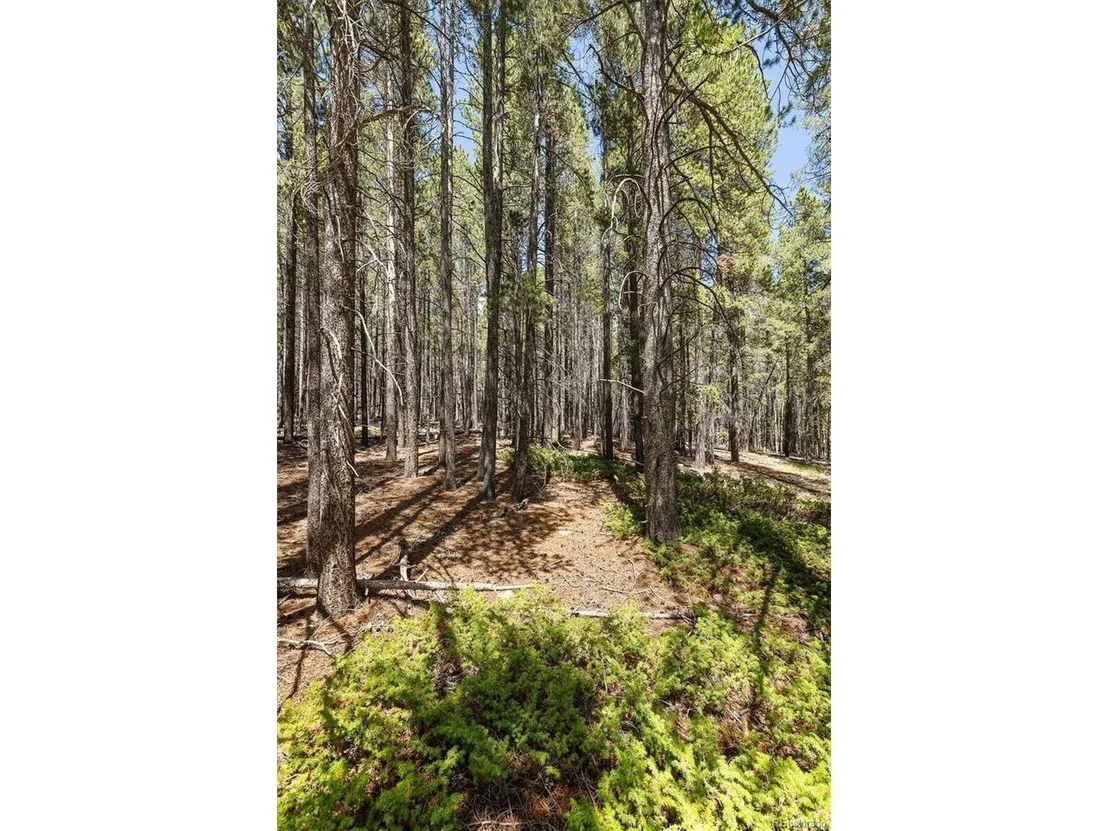 Photo of 0 Spruce Way